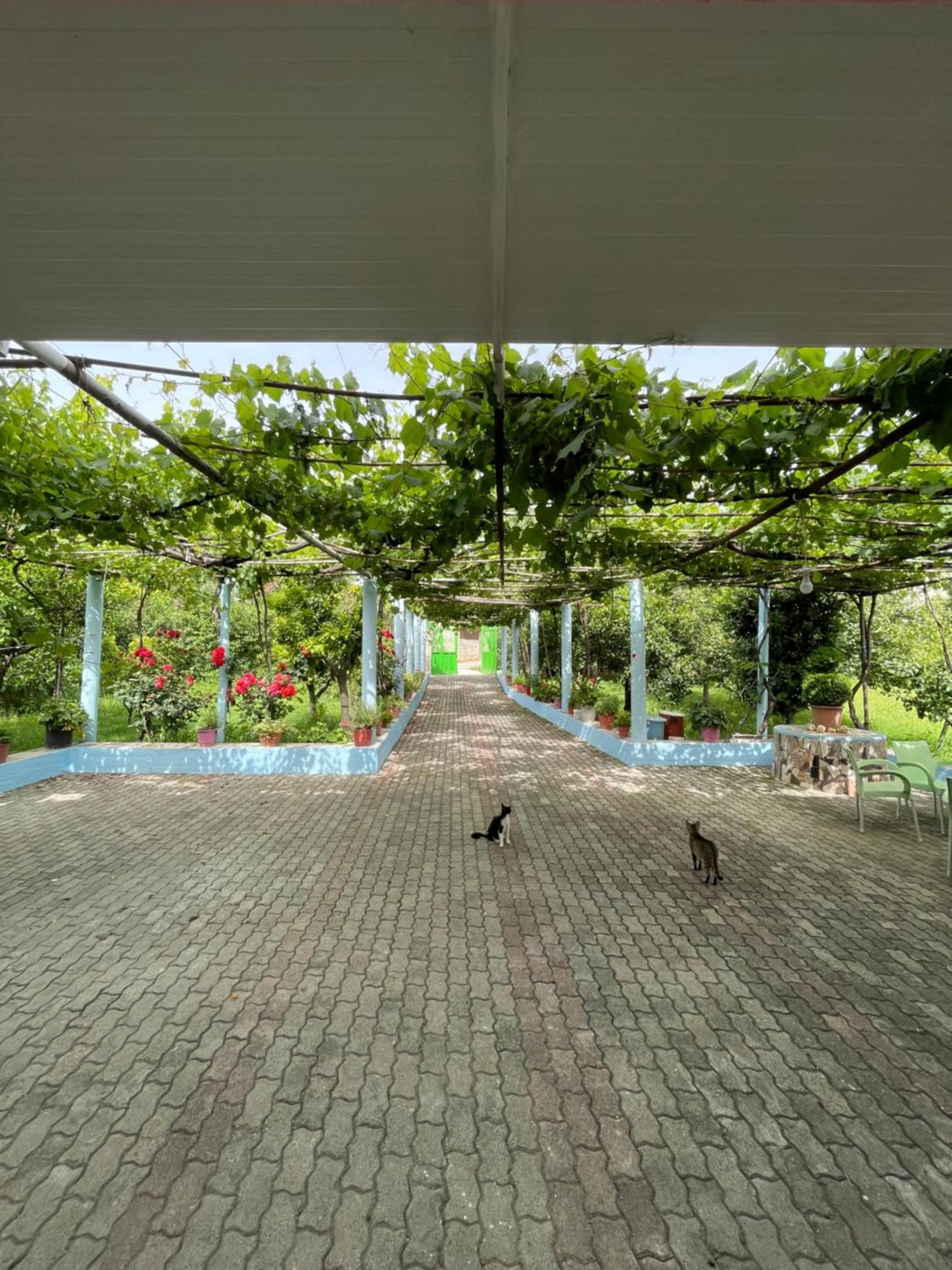 Villa Mance Берат Екстериор снимка